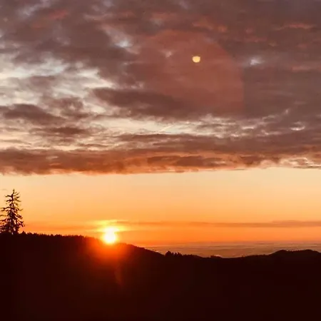 Biobauernhof Hoellerbauer 팜스테이 *