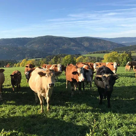 Biobauernhof Hoellerbauer Monichwald