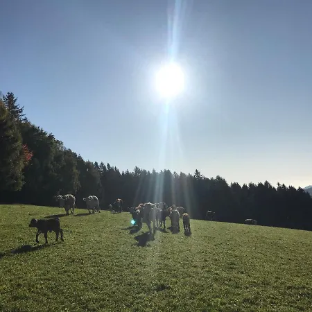 Biobauernhof Hoellerbauer Farm stay Monichwald
