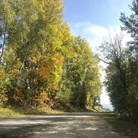 Biobauernhof Hoellerbauer 팜스테이 Monichwald