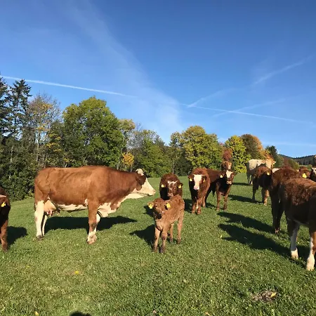 Biobauernhof Hoellerbauer 팜스테이