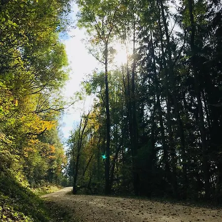 Biobauernhof Hoellerbauer * Monichwald