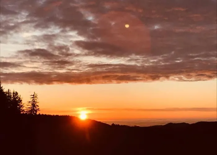 Biobauernhof Hoellerbauer Farm stay *