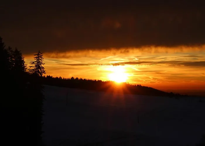 Biobauernhof Hoellerbauer *