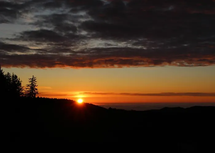 Farm stay Biobauernhof Hoellerbauer *