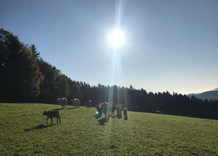 Biobauernhof Hoellerbauer مزرعة للإقامة Monichwald