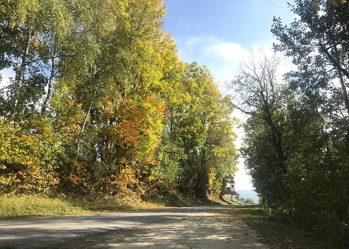 Biobauernhof Hoellerbauer Farm stay Monichwald