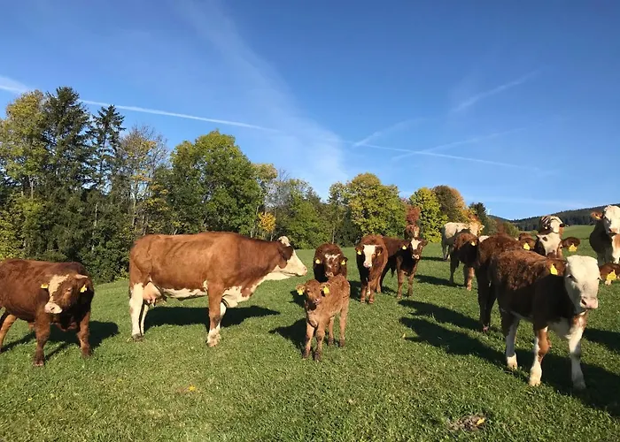 Biobauernhof Hoellerbauer Farm stay