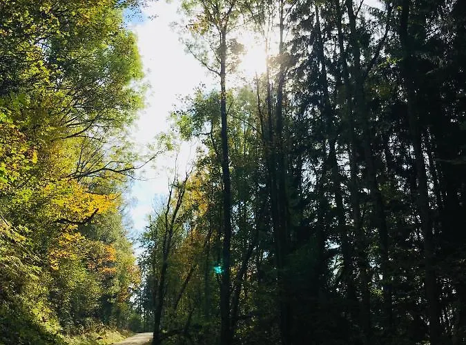 Biobauernhof Hoellerbauer * Monichwald