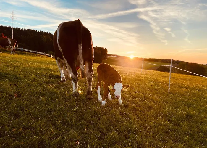 Biobauernhof Hoellerbauer * Monichwald